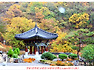 언양상북면 고헌산(1033m)산행