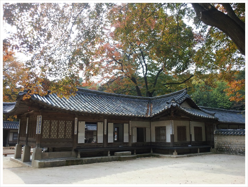 [서울여행 가볼만한 곳] 서울 살이 30년 만에 처음 갔던 창덕궁 후원. 비원의 가을 풍경