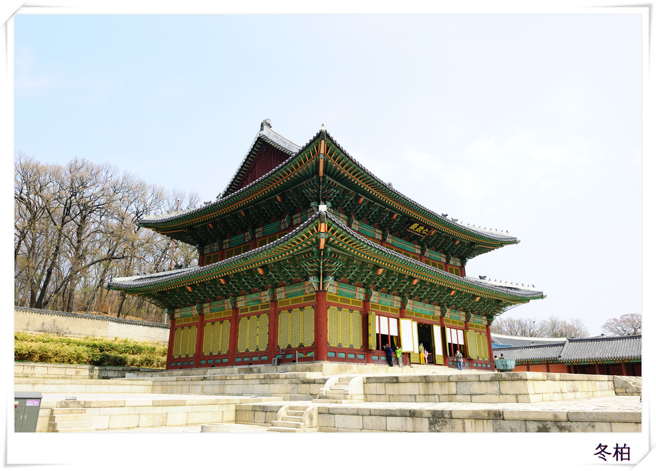 창덕궁의봄