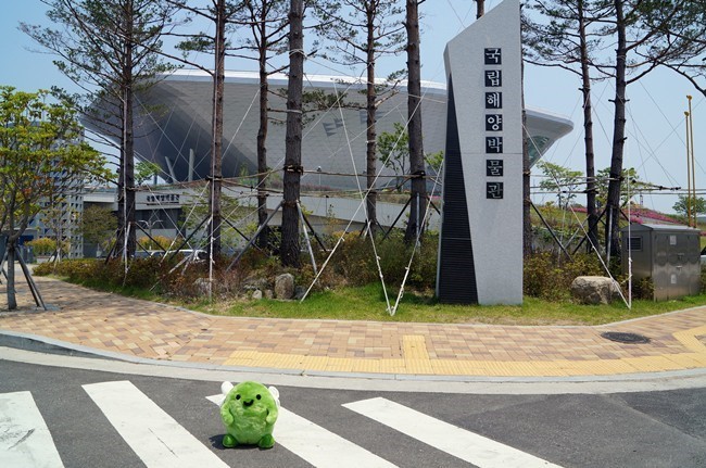 해양유치원 이미지