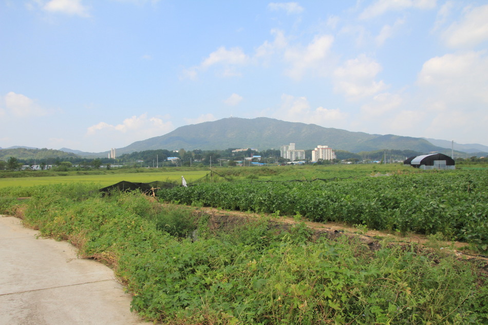 복구정 이미지