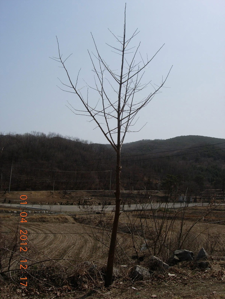 부모은중경(父母恩重經)