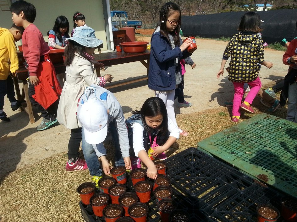 대산초등학교 이미지