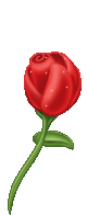112FE1404D09C9081294B9
