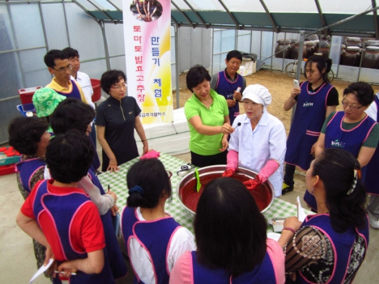 토마토플러스 이미지
