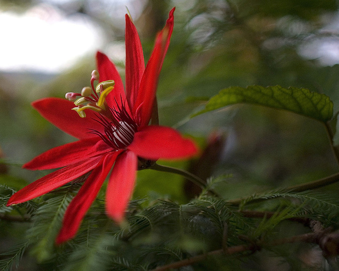 1149C3414FD52C75081467