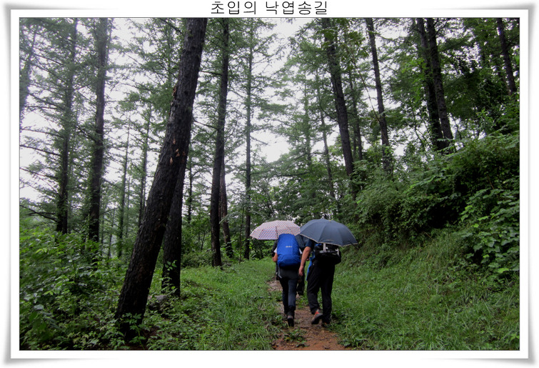 11569F475039ED0D0EA477