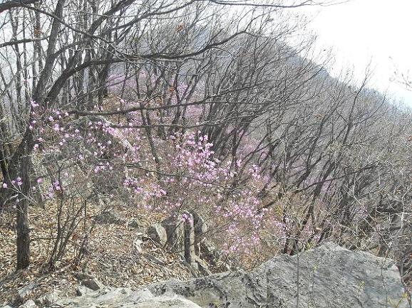 왕터산 정상 이미지