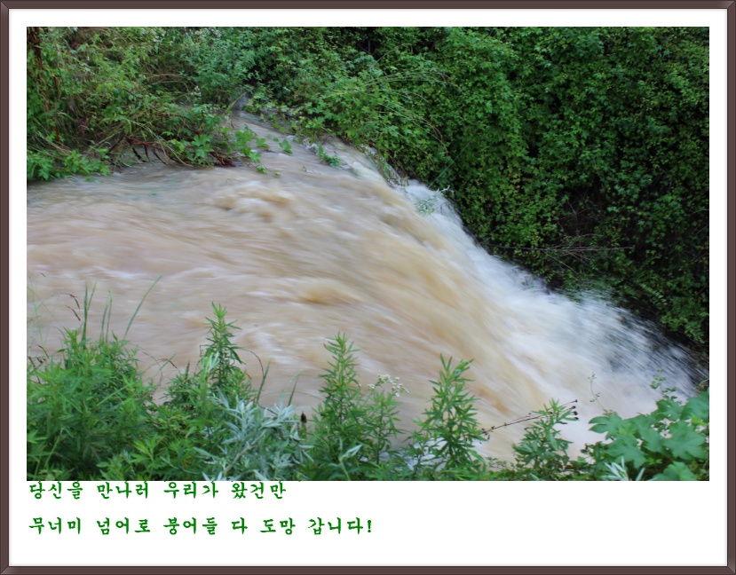 117714434FF9874A12A643
