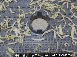 고추잎 무 말랭이 무침