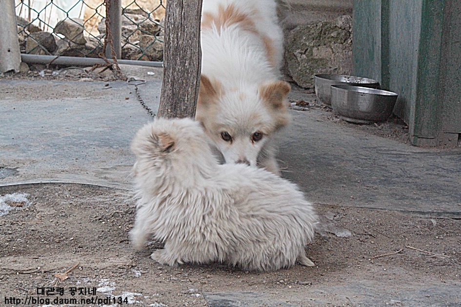 부모님 이제는 우리가  지킨다...