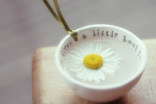 122D06024B067239864FED