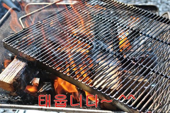 파인트리캠핑장 이미지