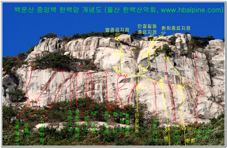 꿈꾸는소나무 이미지