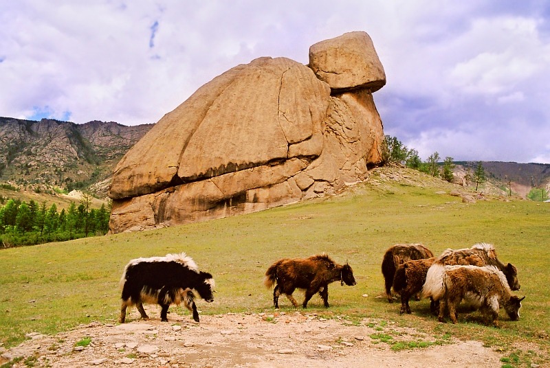 울란바토르 풍경 - 2