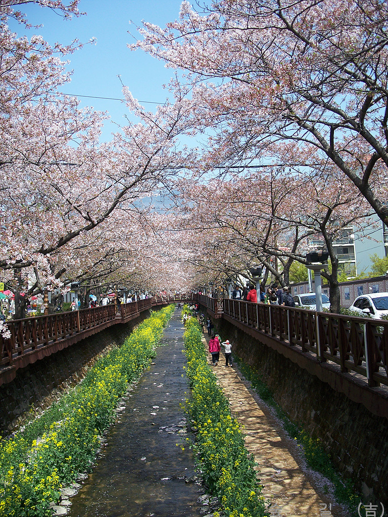하나화원 이미지