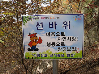 가벼운 가을산행 : 횡성 어답산[御踏t山] + 풍수원성당