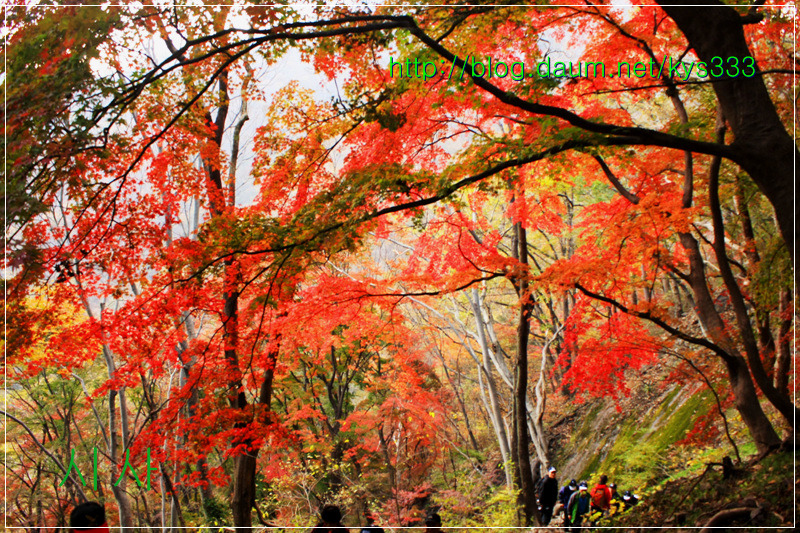 만추의 백양사 아름다운 단풍 2탄...2012. 11월 7일