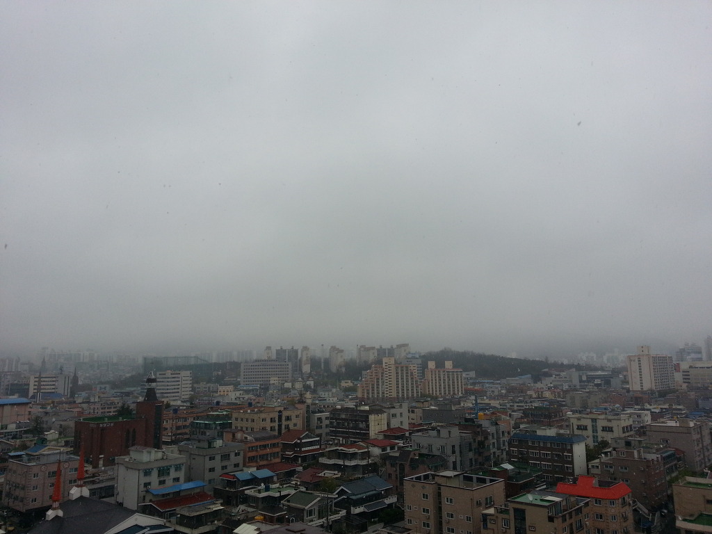 대전 4월 눈 이라니..