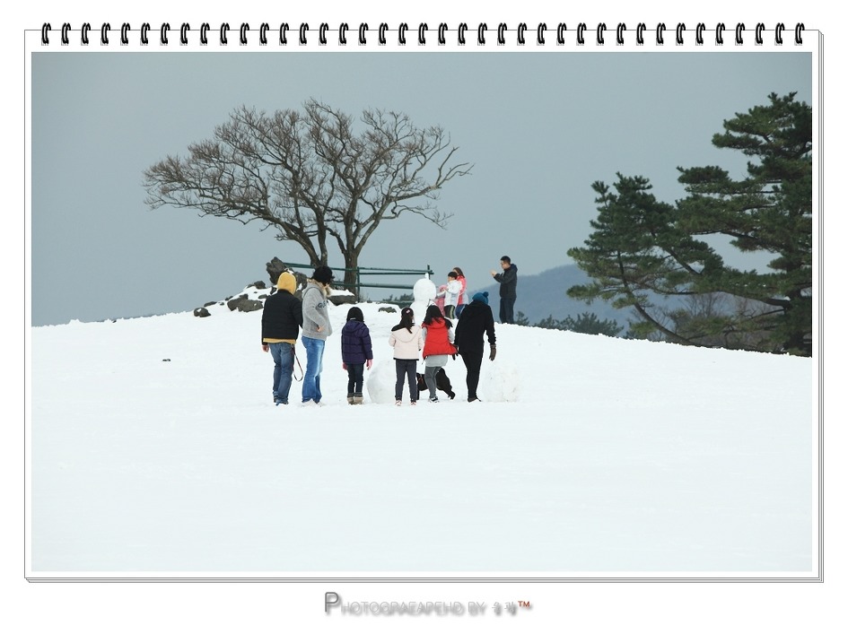 제주축산 이미지
