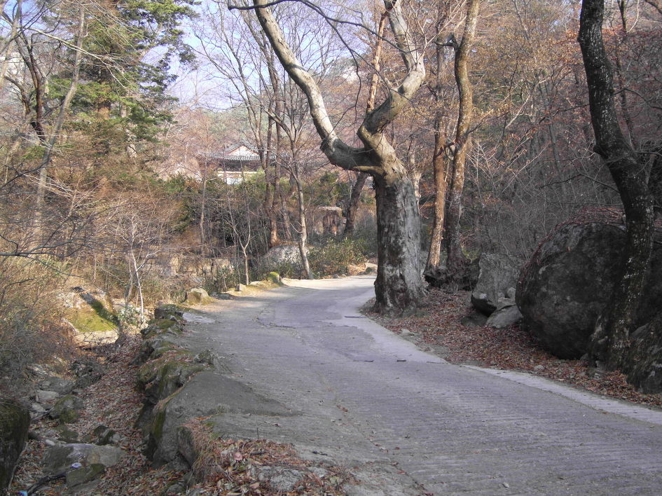 신위엔 이미지
