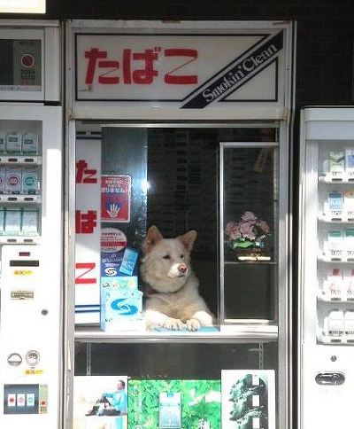 어디야 이미지