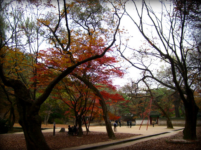 1437101D4AF5B2CB0BFD04