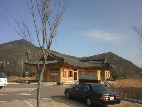 천년약초 이미지