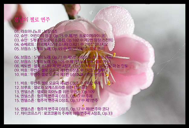 봄날의 첼로 연주..