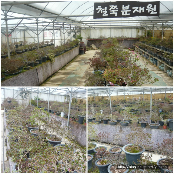 물댄동산 이미지