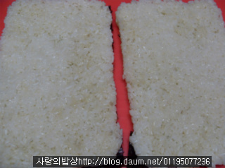 새봄맞이 초간단영양식! 김밥잔멸치샌드