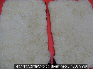 새봄맞이 초간단영양식! 김밥잔멸치샌드