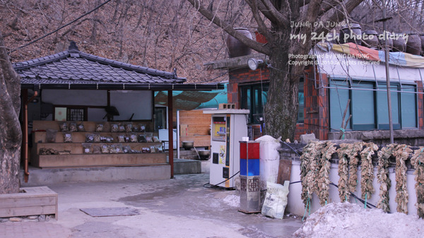 영월 맛집] 장릉보리밥집, 보리밥과 도토리묵이 정말 맛있는 건강식!