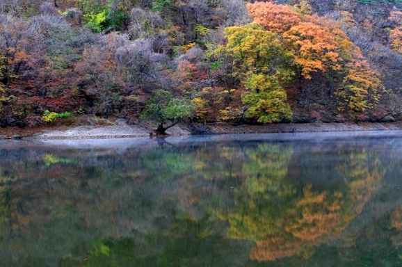 (주)지랑 이미지