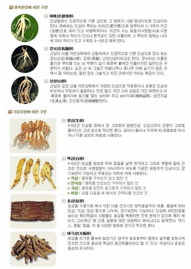 고려인삼제품 이미지