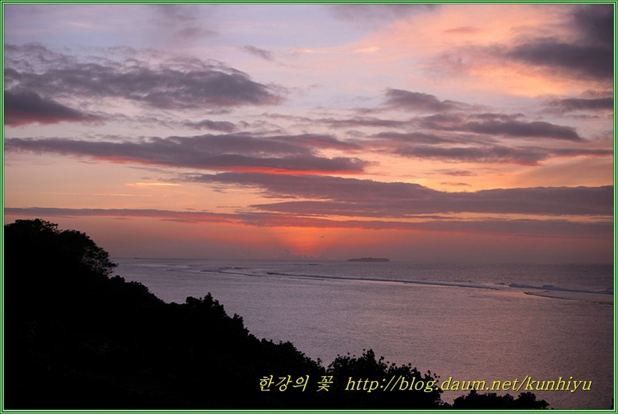 사이판 풍경-한강의 꽃