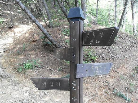 검봉, 봉화산 등산 안내도 이미지