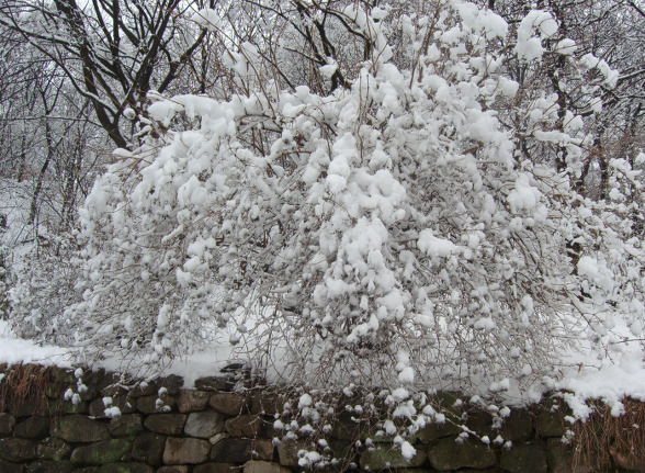 삼각지 이미지