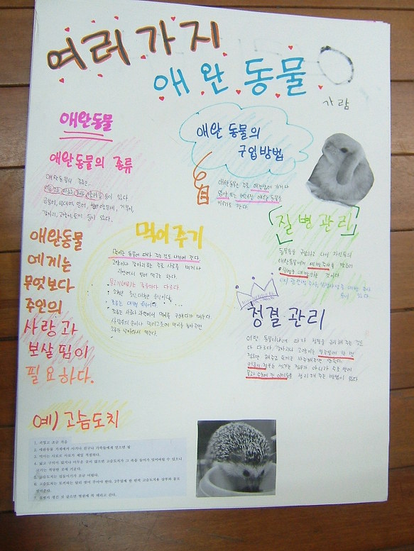 6학년 실과-- 애완동물 기르기 (1)