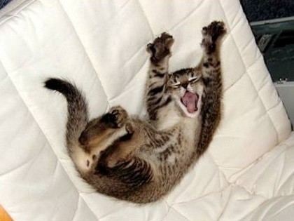 1570E33D4E9F90F9335255