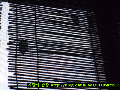 엄마떡볶이 이미지