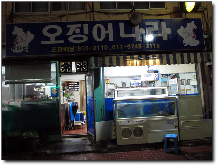 오징어나라 이미지