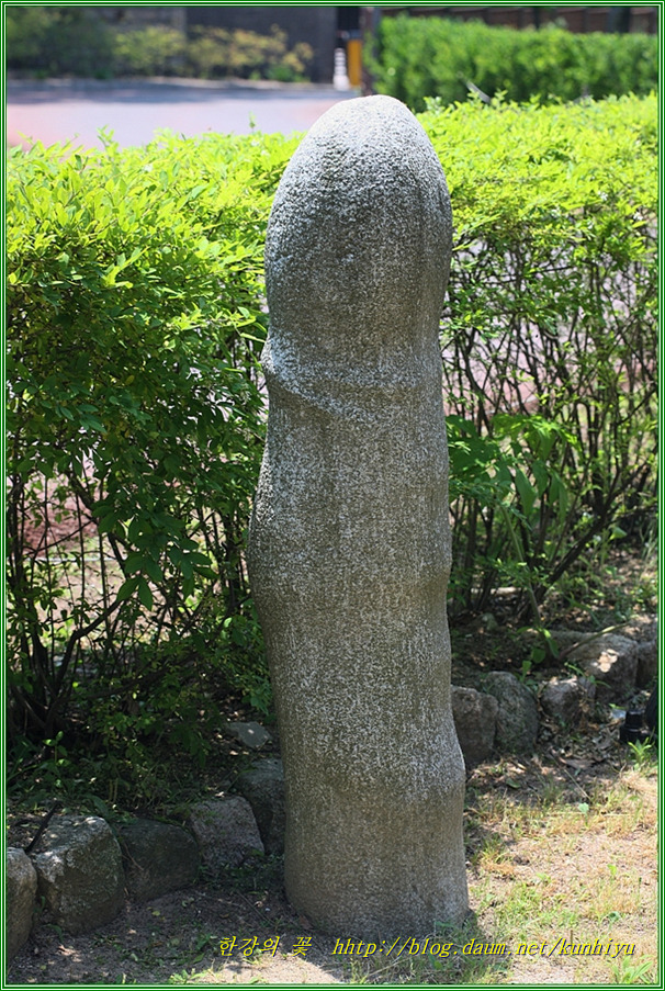 성기숭배신앙-한강의 꽃