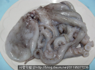 불끈,몸보신 제대로! 건강한 봄음식 용궁 해신탕 >_