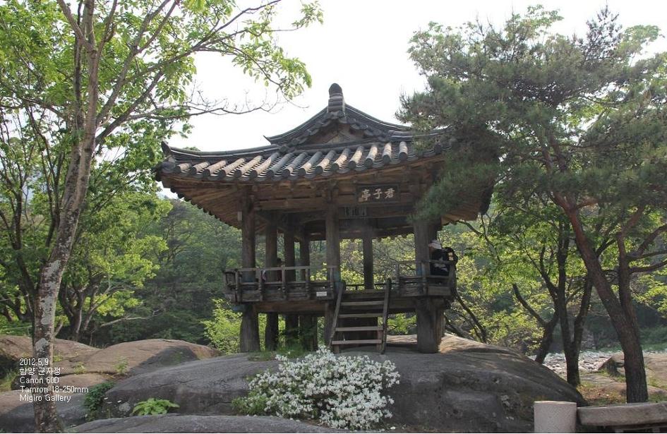 정자 이미지