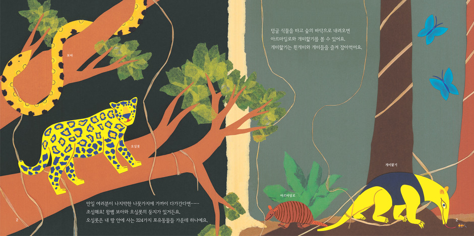 아마존 숲의 편지