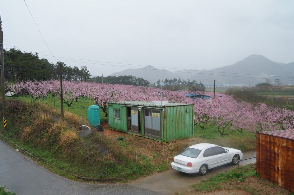 지천주유소 이미지