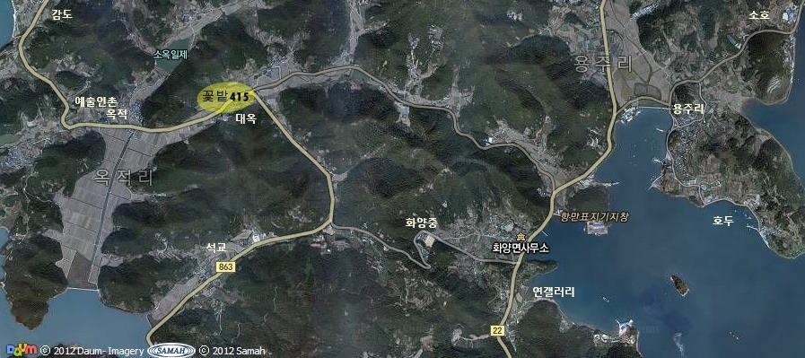 꽃밭415 이미지