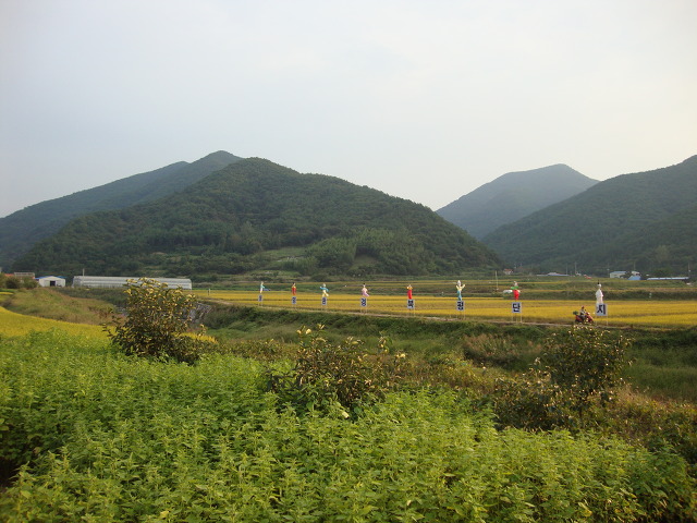 환경나라 이미지