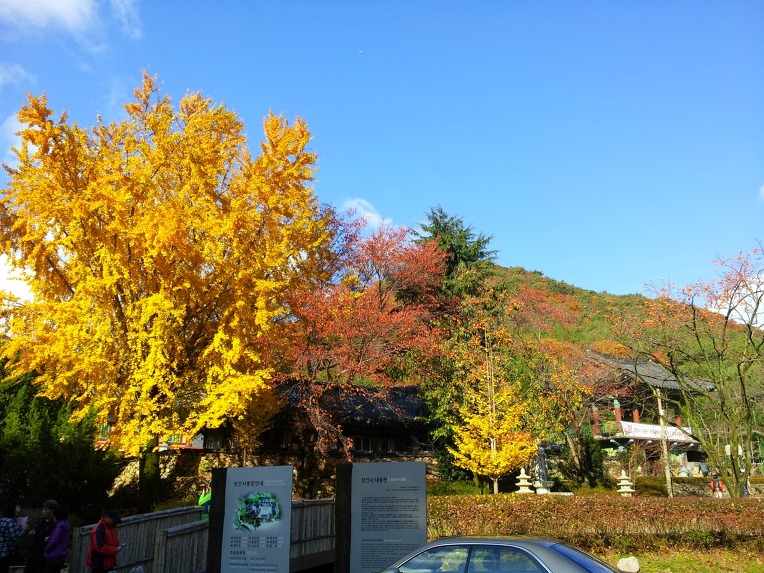 명성칼국수 이미지